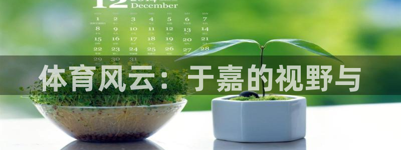 体育风云：于嘉的视野与